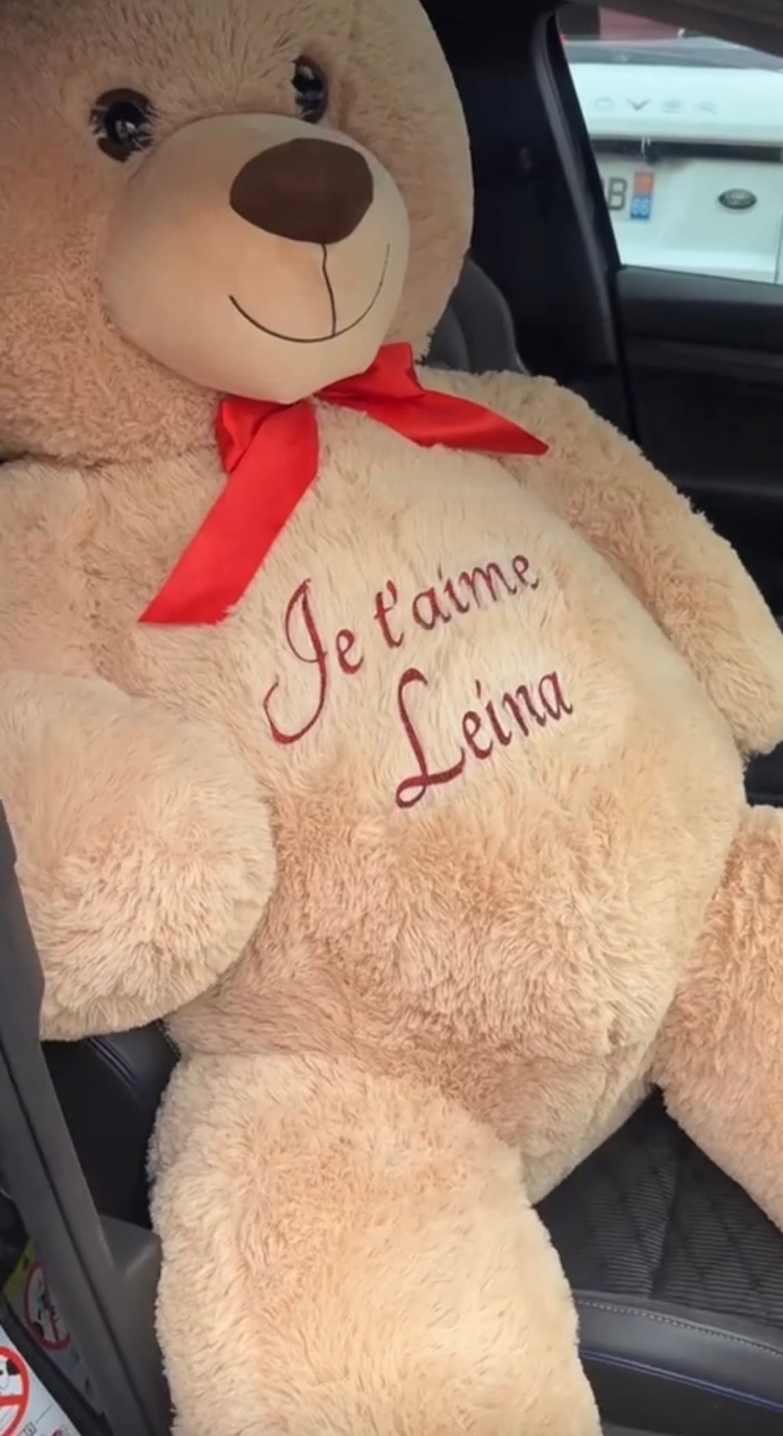 MON OURS D’AMOUR — photo 3